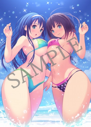 100ʾDLC̥꡼֤줿VALKYRIE DRIVE -BHIKKHUNI- Bikini Party Editionפ2017ǯ112ȯ