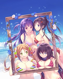  No.027Υͥ / 100ʾDLC̥꡼֤줿VALKYRIE DRIVE -BHIKKHUNI- Bikini Party Editionפ2017ǯ112ȯ