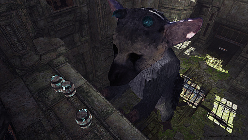 ȥꥳˡȤɡThe Last Guardian VRפϾǯǥȥꥳβİפι⤵ǽǤ