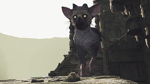 ȥꥳˡȤɡThe Last Guardian VRפϾǯǥȥꥳβİפι⤵ǽǤ