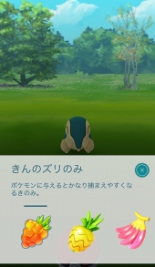  No.032Υͥ / Pok&#00233;mon GOס緿åץǡȤǥबޤѤ롣쥤ɥХȥϪ줿ץ쥹ǥĥݡ