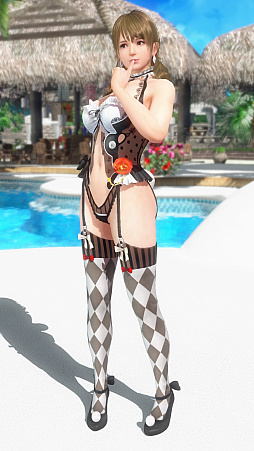 ˡ꡼20ǯDEAD OR ALIVE Xtreme Venus Vacationפ27ͤҲ𡣺ǿȥǥɤϸߡ̵ݶǽ