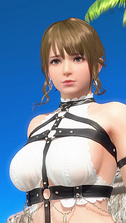  No.034Υͥ / ˡ꡼20ǯDEAD OR ALIVE Xtreme Venus Vacationפ27ͤҲ𡣺ǿȥǥɤϸߡ̵ݶǽ