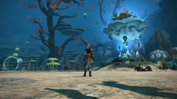 FFXIV: ϡΥ٥졼פǡƥ֤Υץ쥤եϤɤѤ롩 ϥ֥륯Ǽ»ܤ줿ץӥ塼٥Ȥݡ