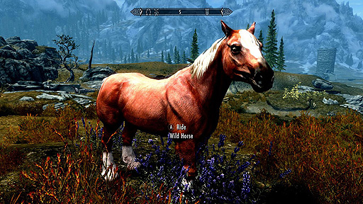 SwitchThe Elder Scrolls V: Skyrim Anniversary UpgradeסǡۿϡSkyrimԤȤΥХɥǤ