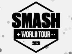 ޶25ɥ롤ޥ֥饷꡼ĥSMASH WORLD TOURפšͽ饦ɤ313