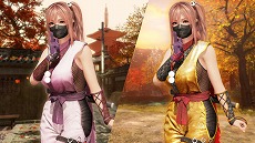 DEAD OR ALIVE 6פˡNINJA GAIDENץ꡼ֹաפ̵Ǥǡ֥奦ϥ֥ס֤͡פ̵ڡ