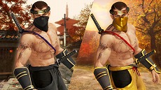 DEAD OR ALIVE 6פˡNINJA GAIDENץ꡼ֹաפ̵Ǥǡ֥奦ϥ֥ס֤͡פ̵ڡ