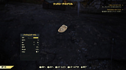 Fallout 76פΦ¥ƥȤݡȡ饤ѤΥȥɤǤϡȲƿ褬VaultｻԤԤäƤ