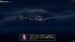 ѥåȥȡ꡼ 787饤󥪥ڥ졼