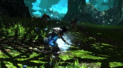 SwitchǡKingdoms of Amalur: Re-Reckoningפͽդ