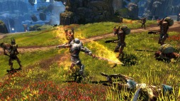 SwitchǡKingdoms of Amalur: Re-Reckoningפͽդ