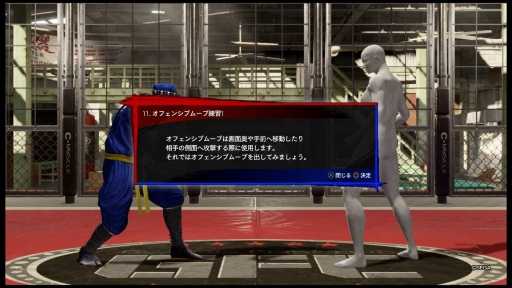 Virtua Fighter esportsפϲѤä ʲեåȥ饤ȥ졼˥󥰥⡼ɤå