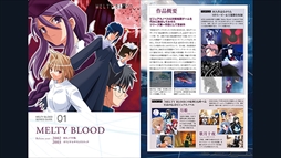 MELTY BLOOD: TYPE LUMINAפ˥ϥ󥲥꤬¿̤ƻդʤХȥ륹