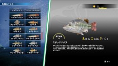 PS5/PS4ǡBassmaster Fishing 2022פ317ȯ䡣B.A.S.S.ƥĤǥץ󥰥顼ãĩ