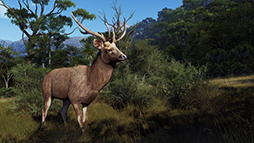 Way of the HunterסDLC֥ޥꥭפ26ȯ䡣֥䥮о줹ǿȥ쥤顼