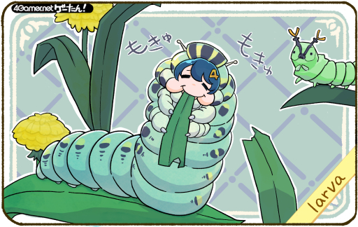 󡪡ñϡlarva/顼&#12436;