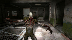  No.010Υͥ / S.T.A.L.K.E.R.: Legends of the Zone TrilogyNintendo SwitchѥåǤ2025ǯ327ȯ