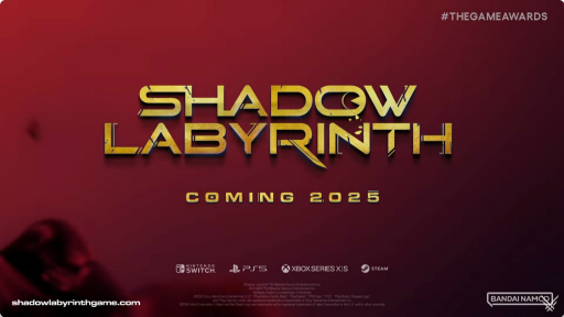 ѥåޥơޤˤʲ륢Shadow Labyrinthפ2025ǯȯ