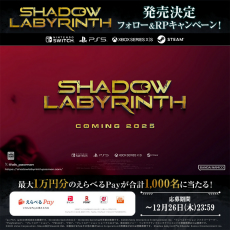 ѥåޥơޤˤʲ륢Shadow Labyrinthפ2025ǯȯ