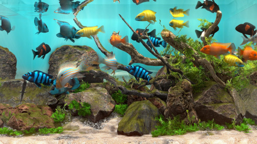 Behind Glass: Aquarium SimulatorסSteam꡼15󥪥ե뤬