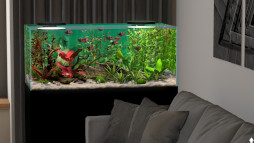 Behind Glass: Aquarium SimulatorסSteam꡼15󥪥ե뤬