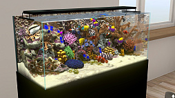 Behind Glass: Aquarium Simulator