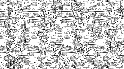 Animal Pattern