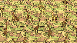 Animal Pattern