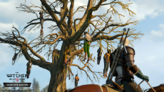 E3 2019ϡThe Witcher 3: Wild Hunt Complete EditionפNintendo Switch2019ǯȯ